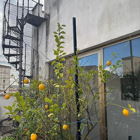 Girasole House-3